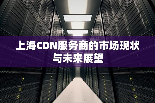 上海CDN服务商的市场现状与未来展望