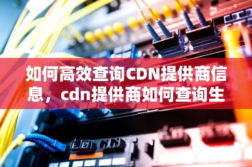 如何高效查询CDN提供商信息，cdn提供商如何查询生产日期