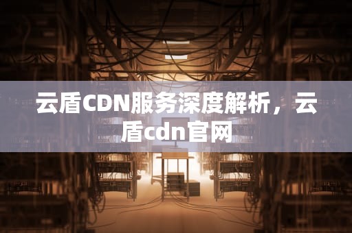 云盾CDN服务深度解析，云盾cdn官网