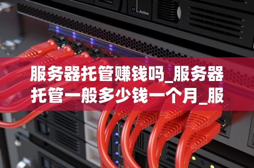 服务器托管赚钱吗_服务器托管一般多少钱一个月_服务器托管赚钱吗？——探讨服务器托管的商业模式与盈利途径