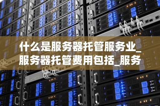 什么是服务器托管服务业_服务器托管费用包括_服务器托管服务业的深度解析