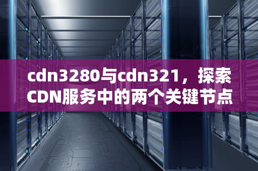 cdn3280与cdn321，探索CDN服务中的两个关键节点