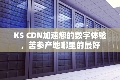 KS CDN加速您的数字体验，苦参产地哪里的最好