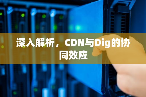 深入解析，CDN与Dig的协同效应