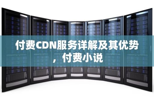 付费CDN服务详解及其优势，付费小说