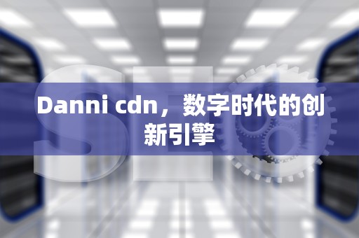 Danni cdn，数字时代的创新引擎
