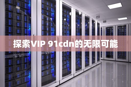 探索VIP 91cdn的无限可能