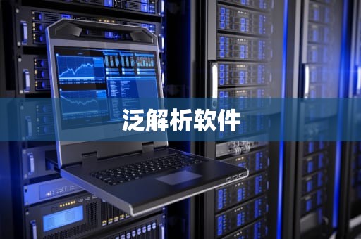 泛解析软件