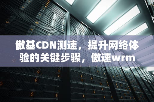傲基CDN测速，提升网络体验的关键步骤，傲速wrm调试