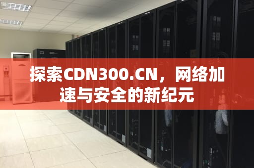 探索CDN300.CN，网络加速与安全的新纪元