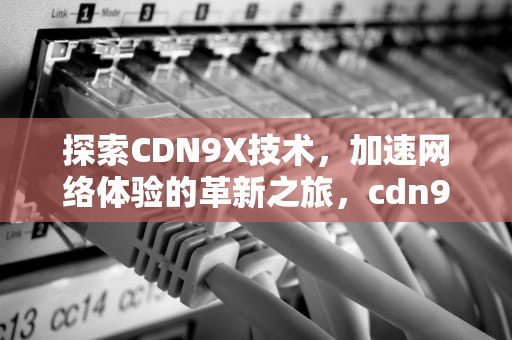 探索CDN9X技术，加速网络体验的革新之旅，cdn9x nkkd