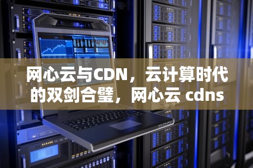 网心云与CDN，云计算时代的双剑合璧，网心云 cdns