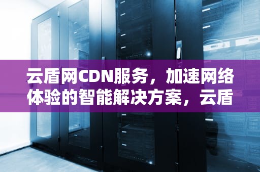 云盾网CDN服务，加速网络体验的智能解决方案，云盾网络验证