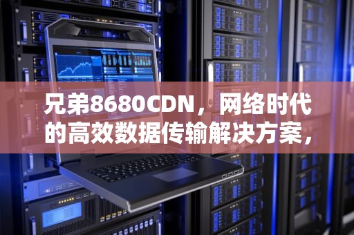 兄弟8680CDN，网络时代的高效数据传输解决方案，兄弟8620cdn自检页