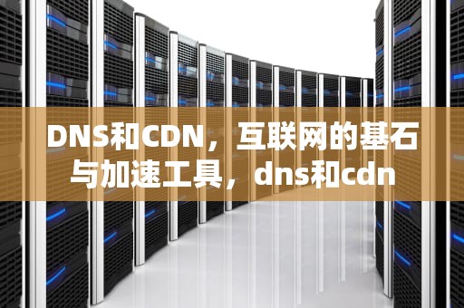 DNS和CDN，互联网的基石与加速工具，dns和cdn