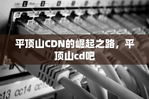 平顶山CDN的崛起之路，平顶山cd吧