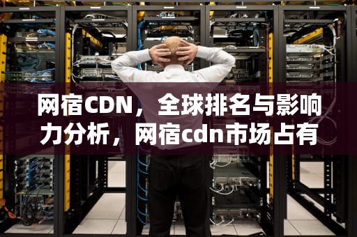 网宿CDN，全球排名与影响力分析，网宿cdn市场占有率排名