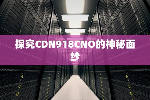 探究CDN918CNO的神秘面纱