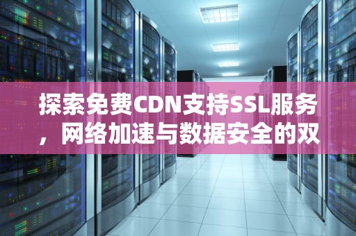 探索免费CDN支持SSL服务，网络加速与数据安全的双重保障，免费cdn支持泛域名