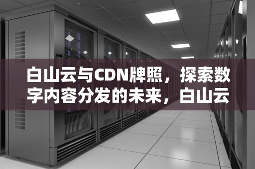 白山云与CDN牌照，探索数字内容分发的未来，白山云cdn价格