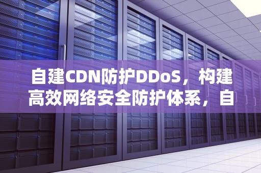 自建CDN防护DDoS，构建高效网络安全防护体系，自建cdn防御ddos