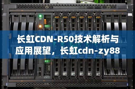 长虹CDN-R50技术解析与应用展望，长虹cdn-zy8808足浴器说明书