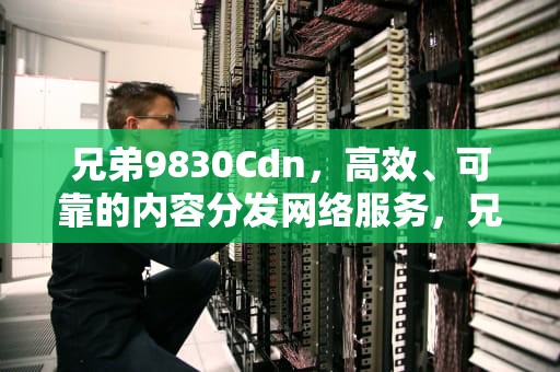兄弟9830Cdn，高效、可靠的内容分发网络服务，兄弟9030cdn清零图解