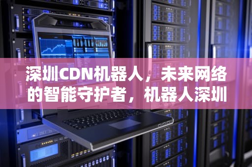 深圳CDN机器人，未来网络的智能守护者，机器人深圳公司