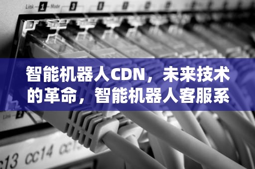 智能机器人CDN，未来技术的革命，智能机器人客服系统