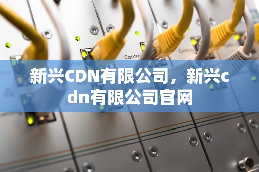新兴CDN有限公司，新兴cdn有限公司官网
