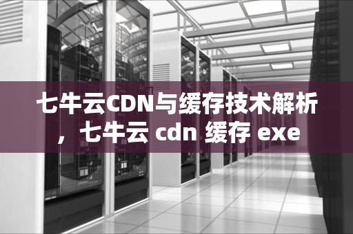 七牛云CDN与缓存技术解析，七牛云 cdn 缓存 exe