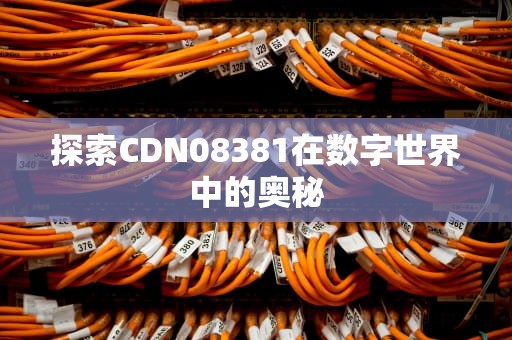 探索CDN08381在数字世界中的奥秘