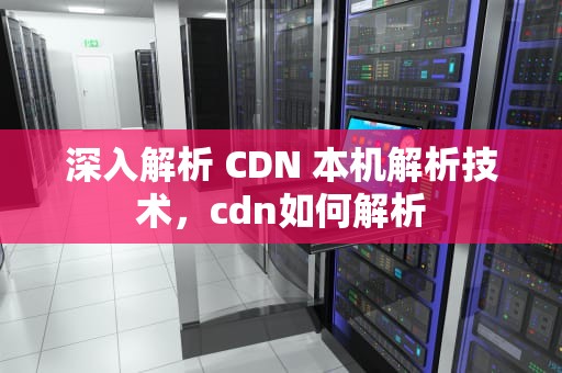 深入解析 CDN 本机解析技术，cdn如何解析