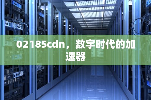 02185cdn，数字时代的加速器
