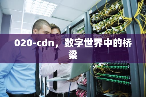 020-cdn，数字世界中的桥梁