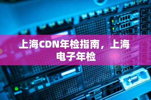 上海CDN年检指南，上海 电子年检