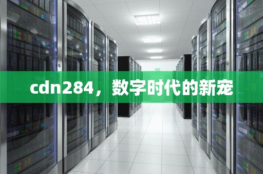 cdn284，数字时代的新宠