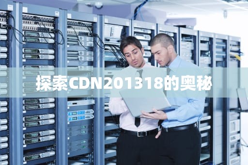 探索CDN201318的奥秘