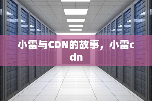 小雷与CDN的故事，小雷cdn