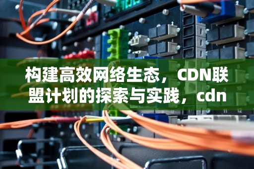 构建高效网络生态，CDN联盟计划的探索与实践，cdn产业联盟