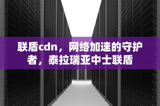 联盾cdn，网络加速的守护者，泰拉瑞亚中士联盾