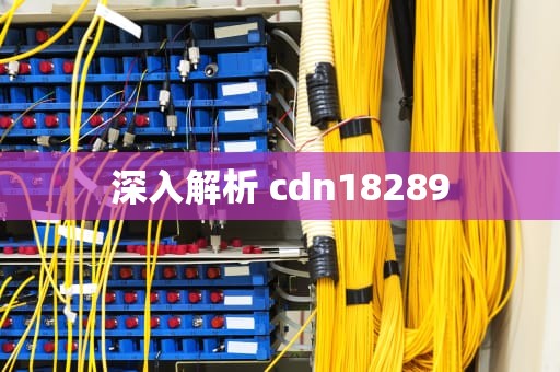 深入解析 cdn18289