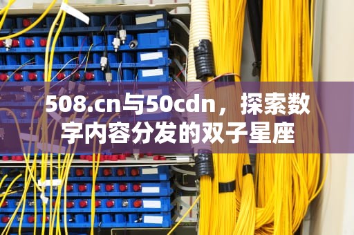 508.cn与50cdn，探索数字内容分发的双子星座