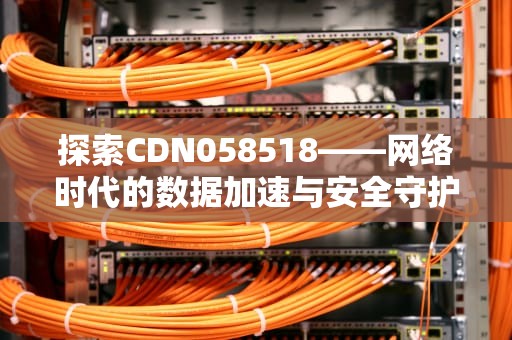 探索CDN058518——网络时代的数据加速与安全守护者