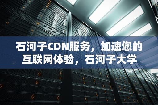 石河子CDN服务，加速您的互联网体验，石河子大学