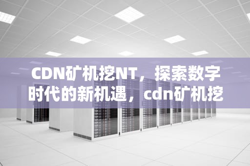 CDN矿机挖NT，探索数字时代的新机遇，cdn矿机挖什么