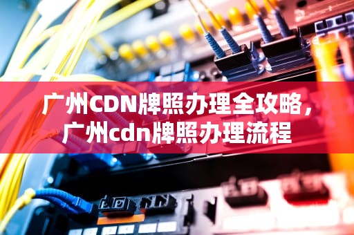 广州CDN牌照办理全攻略，广州cdn牌照办理流程