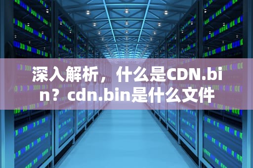深入解析，什么是CDN.bin？cdn.bin是什么文件