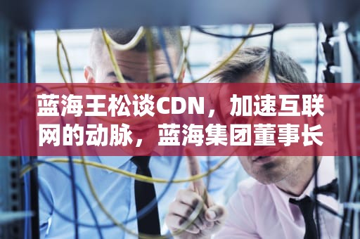 蓝海王松谈CDN，加速互联网的动脉，蓝海集团董事长王彦博