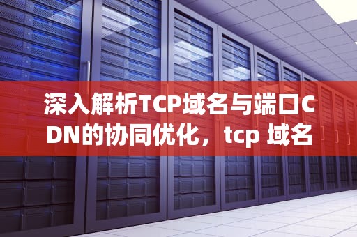 深入解析TCP域名与端口CDN的协同优化，tcp 域名